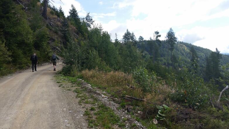 Anstieg Richtung Hollerberg