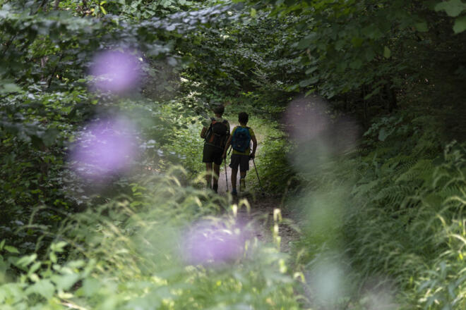 Weg Richtung Üble Schlucht (c) Martin Vogel / Vorarlberg Tourismus