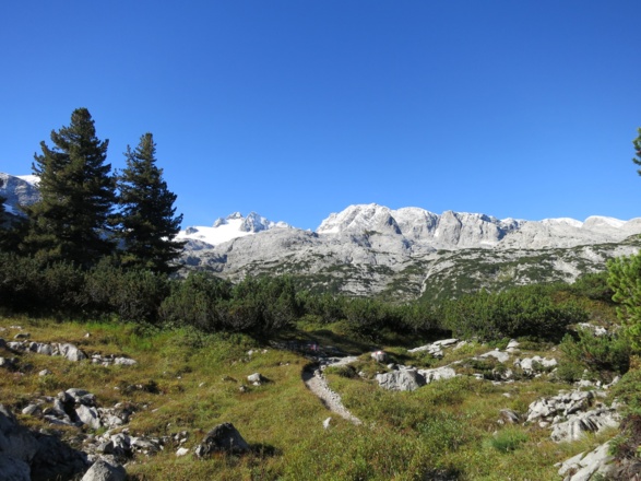 Blick zurück aus der Zirbengrube