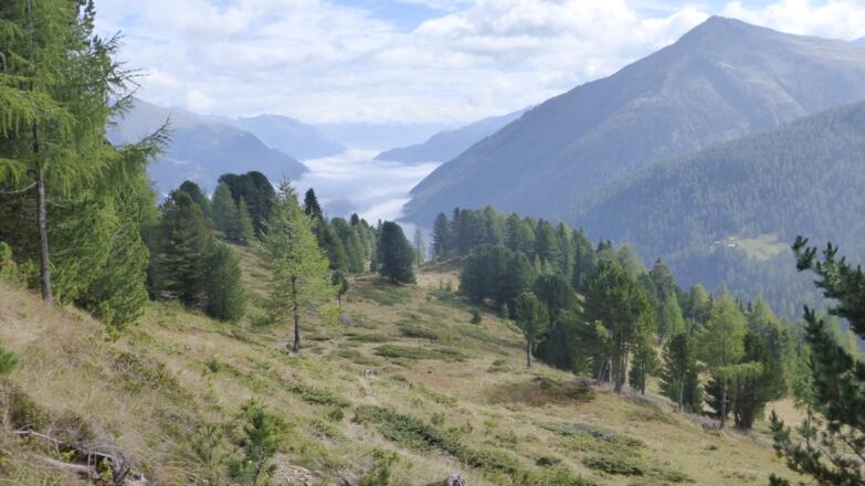 Blick vom Hirschbichl über das herbstliche Defereggental