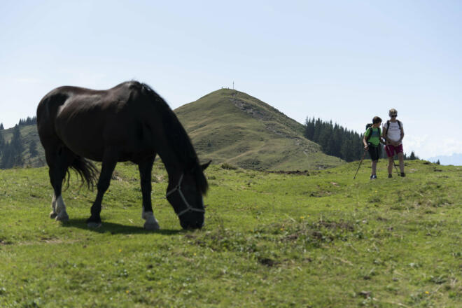Hohe Kugel  (c) Martin Vogel / Vorarlberg Tourismus