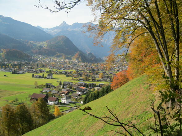 Buchwaldweg mit Ausblick