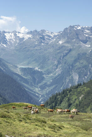 Blick auf Silvretta Hochalpenstraße und Vermunt Stausee (c) Lucas Tiefenthaler / Vorarlberg Tourismus