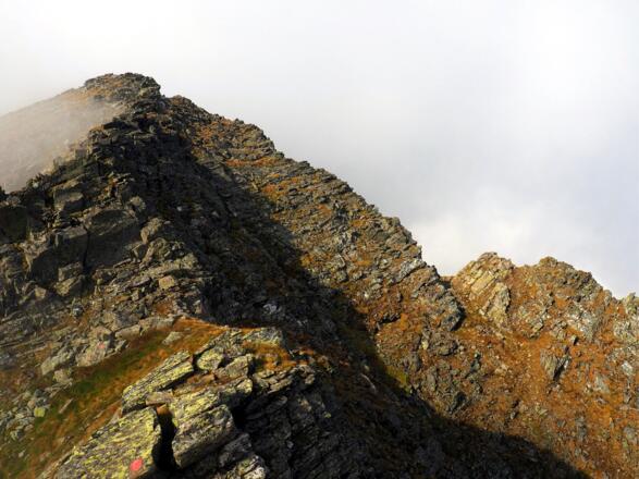 Am NO-Grat um 2500m
