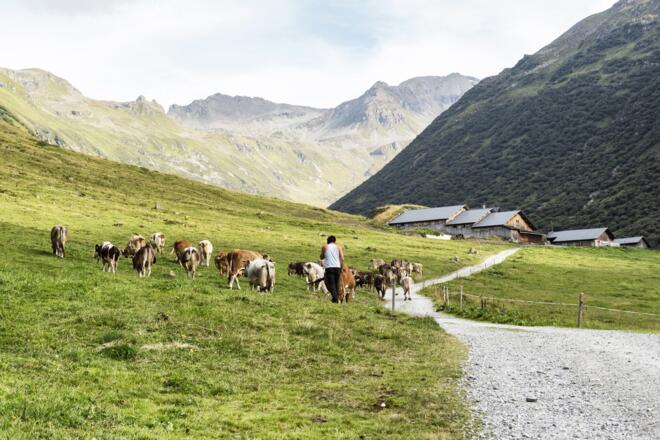 kurz vor der Vergaldaalpe