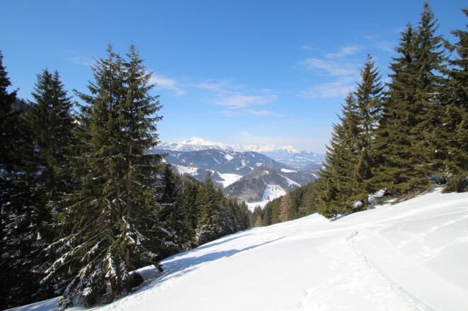 Blick zurück Richtung Sensengebirge