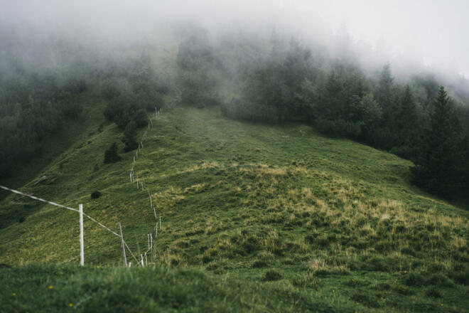Spitzwiesle  (c) Dominic Berchtold / Vorarlberg Tourismus
