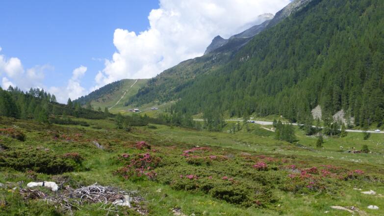 Kurz nach dem Start am Grünbichl
