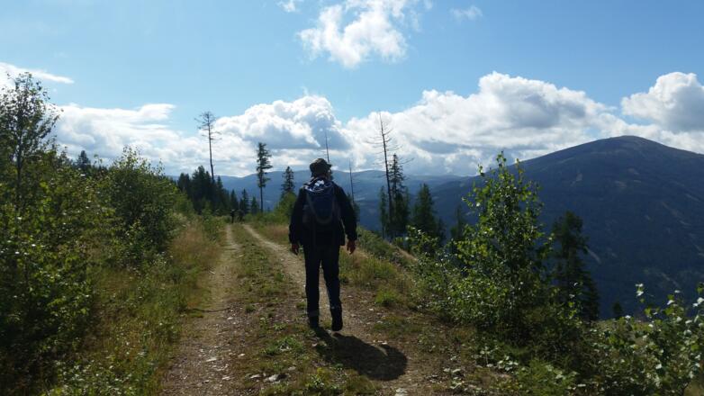 Weg Richtung Hollerberg