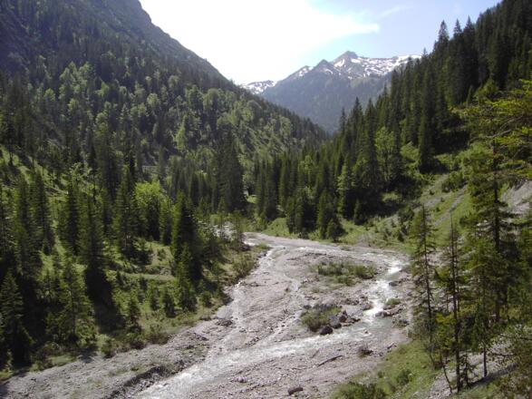 der wilde Weißenbach durchströmt das Birkental