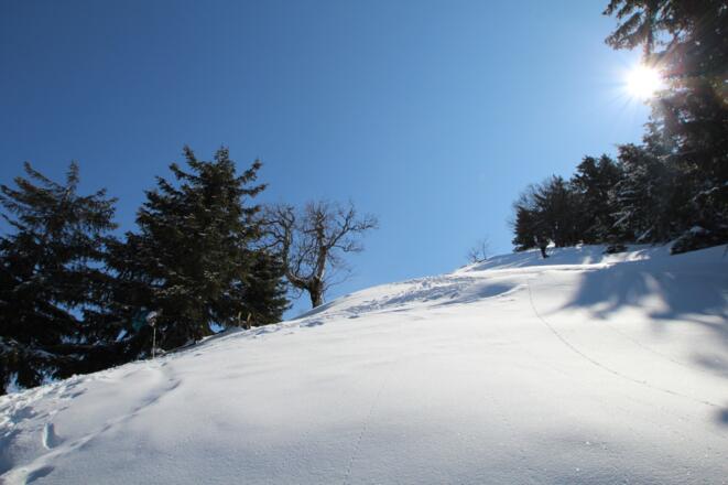 Etwas steilerer Gipfelhang