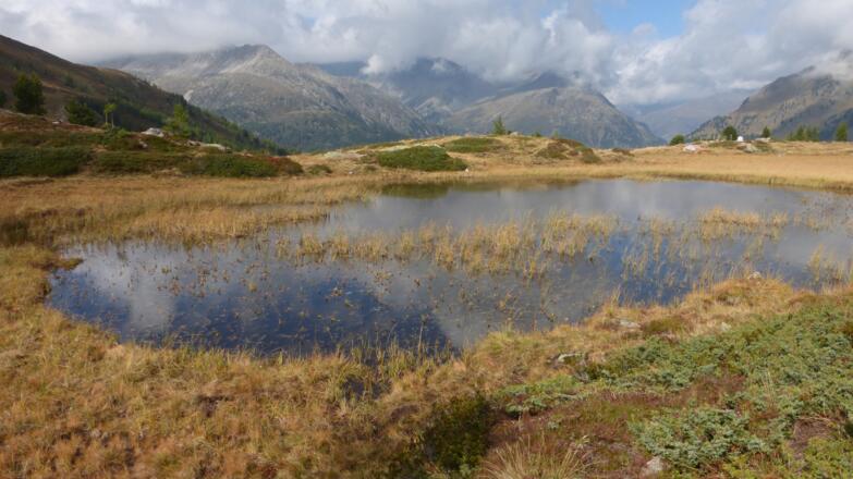 Im Herbst am Hirschbichl