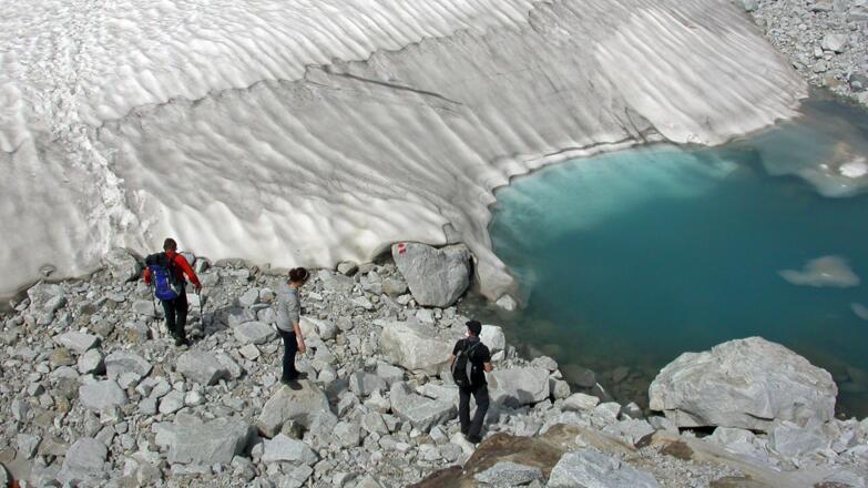 Die Reste vom Almerkees