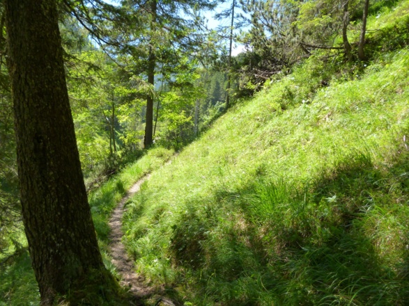 Der wunderschöne Dillinger Weg durch das Birkental