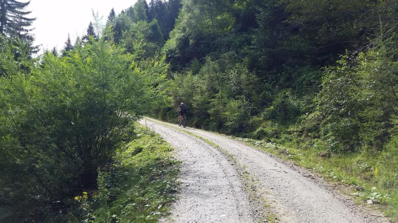 Auffahrt über Schellgarden