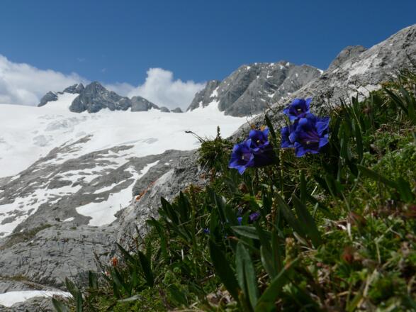 Rund um die Hütte