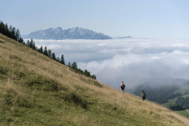 Abstieg zum Treietpass  (c) Martin Vogel / Vorarlberg Tourismus