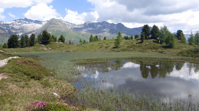 Der kleine See am Hirschbichl