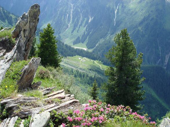 Bettlersteig