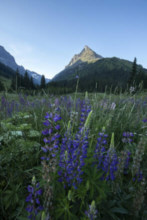 bei der Konstanzer Hütte (c) Lucas Tiefenthaler / Vorarlberg Tourismus
