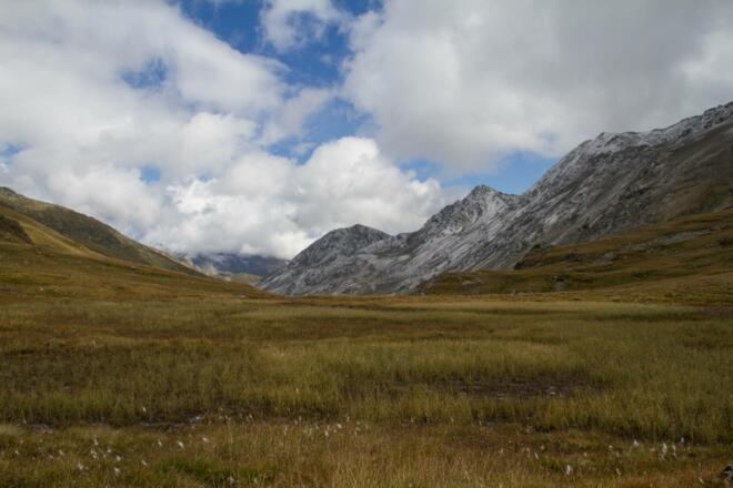 Feuchtfläche am Peischlachtörl