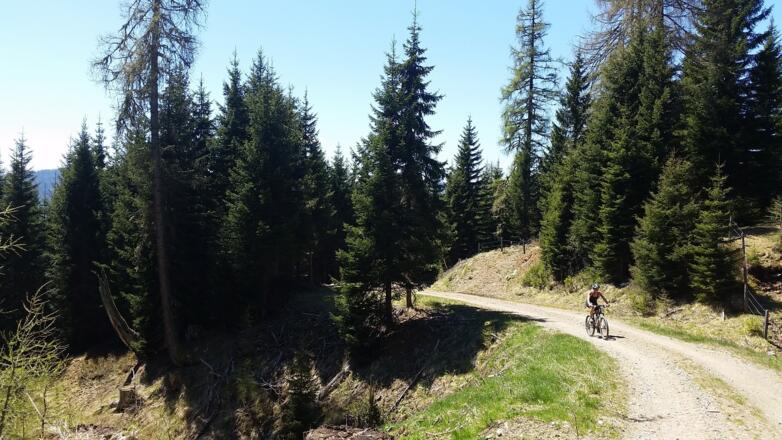 Fahrt zum Überlingermoor