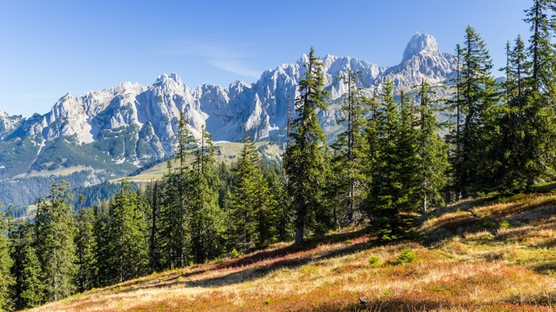 Wanderung entlang des Salzburger Almenweges