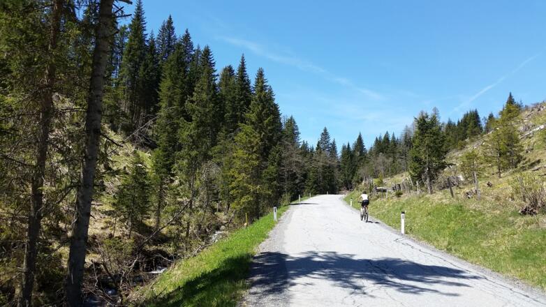 Aufstieg nochmals zum Prebersee