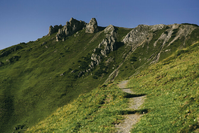Weg Richtung Sareiser Joch  (c) Dominic Berchtold / Vorarlberg Tourismus
