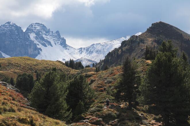 Anstieg zum Grieskogel