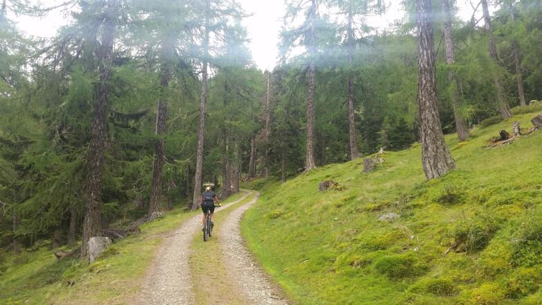 Letzte Meter vor der Stöckalm