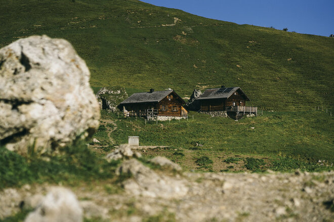 Alpe Sareis (c) Dominic Berchtold / Vorarlberg Tourismus
