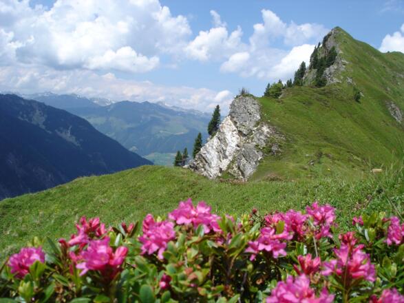 Bettlersteig