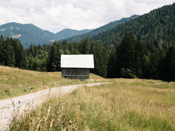 Richtung Biberstein (c) Nina Bröll / Vorarlberg Tourismus
