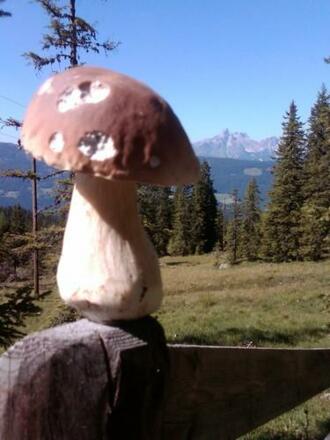 Ein Traumpilz vor einer Traumkulisse