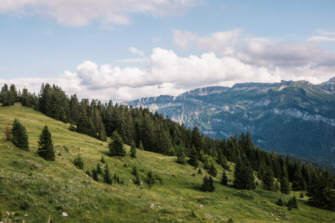 Blick Richtung Rindberg (c) Nina Bröll / Vorarlberg Tourismus