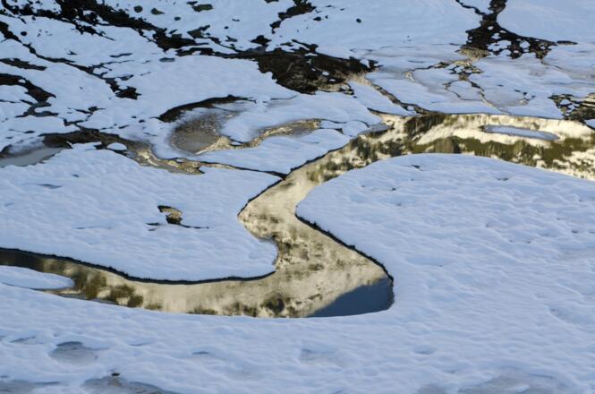 Mutterbergersee 4 Mäander