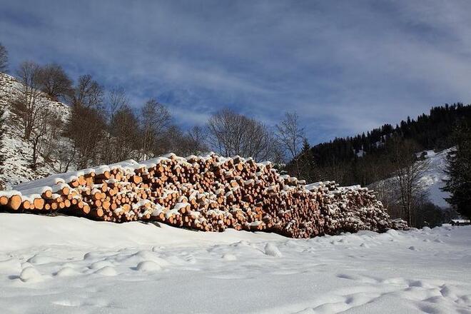 Holzhaufen