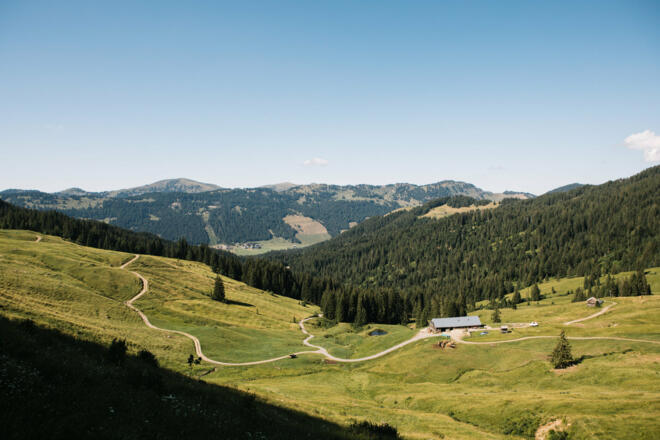 Güntle Alpe (c) Nina Bröll / Vorarlberg Tourismus
