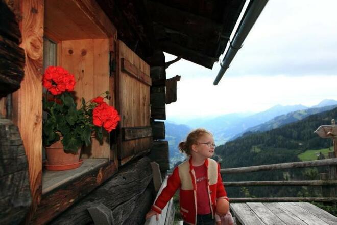 Auf der Viehhausalm