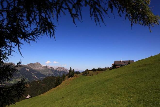 Panorama