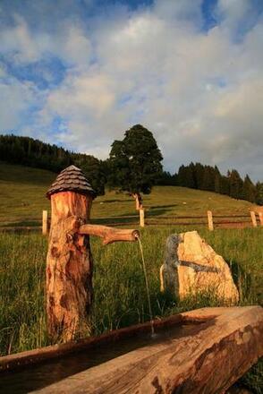 Brunnen bei der Breitenebenalm