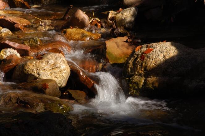 Das Rauschen des Baches begleitet Sie unterwegs am Adlerweg
