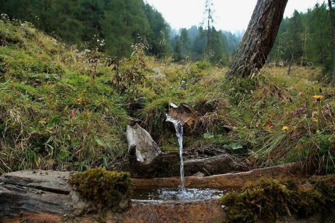 Brunnen am Weg zur Karteisalm