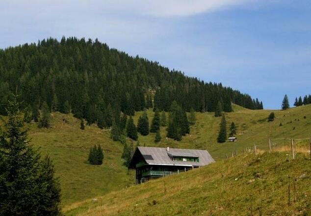 Muggenfeldalm, 1.545 m