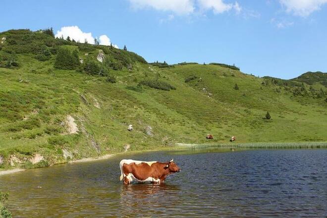 Oberer Paarsee