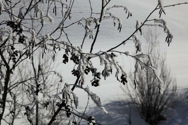 Winter im Großarltal