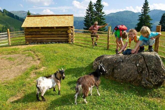 Auf der Unterwandalm