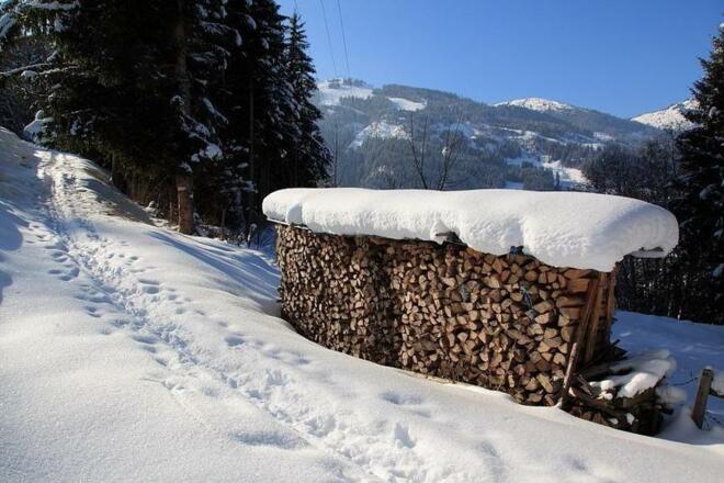 Holz neben dem Weg