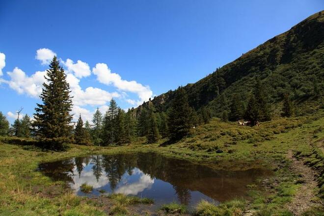 Lacken im Fraunkar